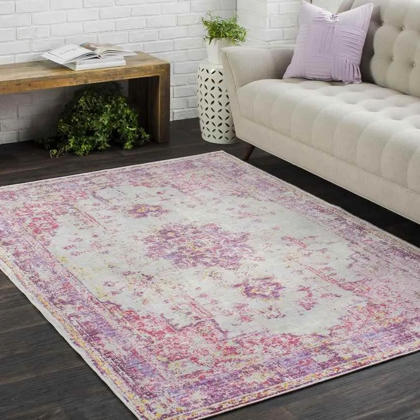 Everly Traditional Area Rug Carpet for Living Room Bedroom or Kitchen