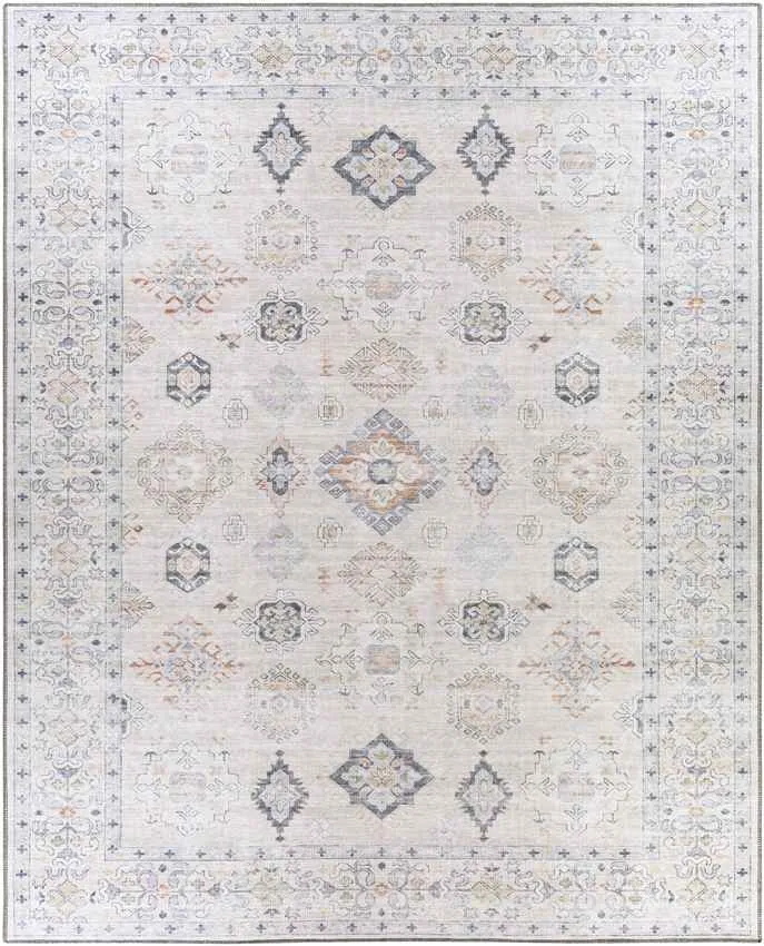 Northutica Traditional Beige Area Rug Carpet for Living Room Bedroom or Kitchen