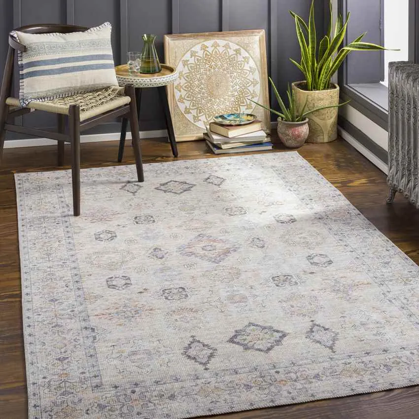 Northutica Traditional Beige Area Rug Carpet for Living Room Bedroom or Kitchen