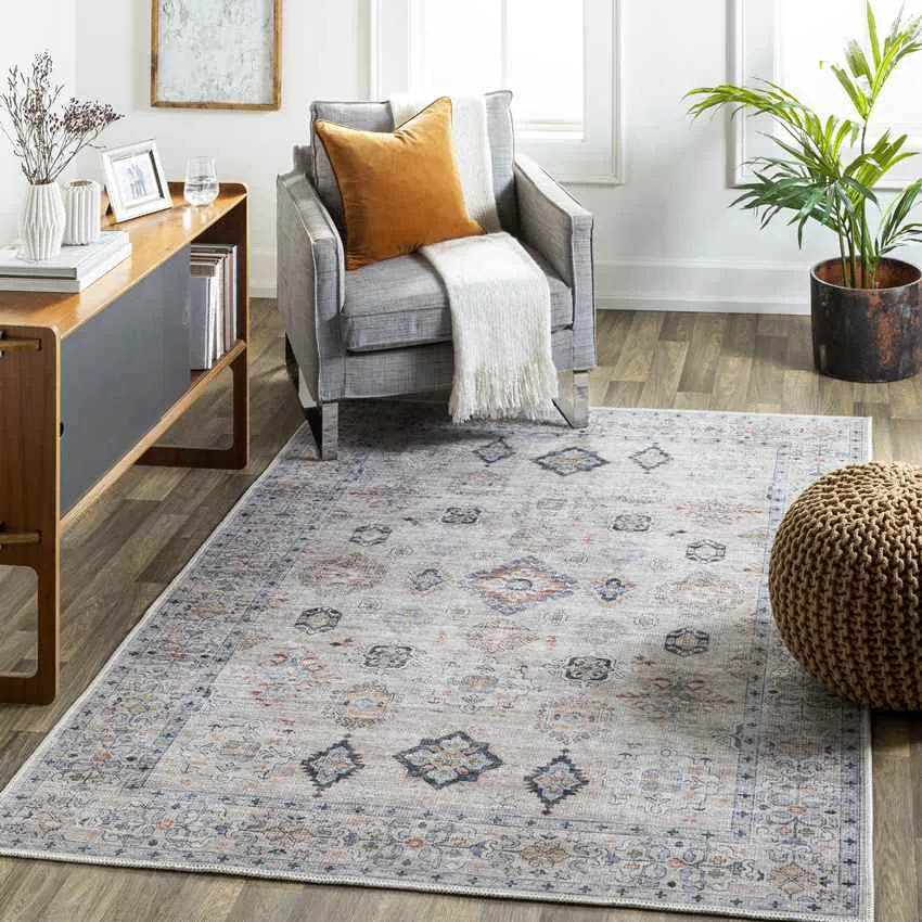 Northutica Traditional Beige Area Rug Carpet for Living Room Bedroom or Kitchen