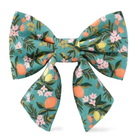 Rifle Paper Co. x TFD Citrus Floral Lady Dog Bow